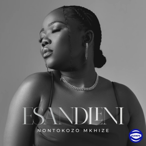 Nontokozo Mkhize – Esandleni